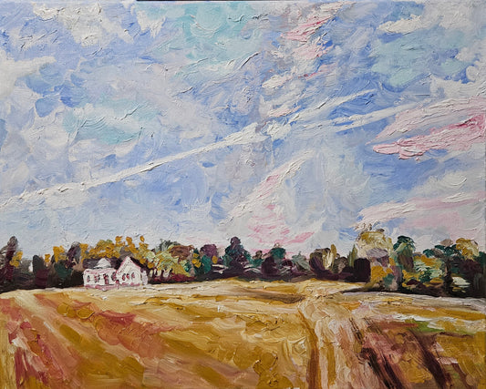 House on a Field mini print